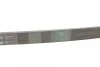 <strong>Пас поліклиновий MB A-class (W168) 97-04 CONTITECH 5PK1290 (фото 3)</strong>