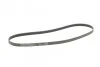 <strong>Пас поліклиновий MB A-class (W168) 97-04 CONTITECH 5PK1290 (фото 5)</strong>