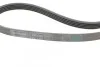 <strong>Пас поліклиновий VW Passat B5/Audi A4/A6 1.6/1.8/2 CONTITECH 5PK1300 (фото 3)</strong>