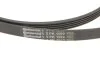 <strong>Роликовий модуль натягувача ременя (ролик, ремінь) CONTITECH 5PK1300K1 (фото 3)</strong>