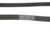 <strong>Доріжковий ремінь CONTITECH 5PK1310 (фото 3)</strong>