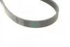 <strong>Пас поліклиновий Mitsubishi Carisma 1.8i 95-06/Pajero CONTITECH 5PK1345 (фото 3)</strong>