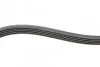 <strong>Пас поліклиновий Opel Astra/Corsa 1.0/1.2/1.4 00-/ CONTITECH 5PK1355 (фото 2)</strong>
