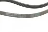 <strong>Пас поліклиновий Opel Astra/Corsa 1.0/1.2/1.4 00-/ CONTITECH 5PK1355 (фото 3)</strong>