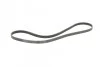 <strong>Пас поліклиновий Opel Astra/Corsa 1.0/1.2/1.4 00-/ CONTITECH 5PK1355 (фото 4)</strong>