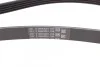 <strong>Ремінь поліклиновий Hyundai Santa Fe, H1, Kia Sorento 2,4i 02> ContiTech CONTITECH 5PK1393 (фото 2)</strong>
