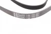<strong>Ремінь поліклиновий Hyundai Santa Fe, H1, Kia Sorento 2,4i 02> ContiTech CONTITECH 5PK1393 (фото 3)</strong>