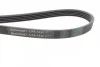 <strong>Пас поліклиновий VW Passat B5/Audi A4/A6 1.9TDI 98 CONTITECH 5PK1432 (фото 2)</strong>