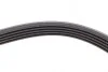 <strong>Пас поліклиновий VW Passat B5/Audi A4/A6 1.9TDI 98 CONTITECH 5PK1432 (фото 3)</strong>