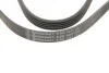 <strong>Ремінь поліклиновий CONTITECH 5PK1441 (фото 5)</strong>