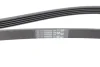 <strong>Ремінь генератора поліклиновий CONTITECH 5PK1450 (фото 4)</strong>