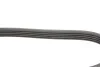 <strong>Комплект ременя генератора CONTITECH 5PK1515K1 (фото 2)</strong>