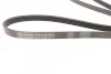 <strong>Ремень поликлиновой Conti CONTITECH 5PK1546 (фото 2)</strong>