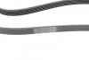 <strong>Ремень генератора Passat B5/Audi A4/A6 1.9TDI >11/00 CONTITECH 5PK1592 (фото 3)</strong>