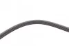 <strong>Ремень генератора Passat B5/Audi A4/A6 1.9TDI >11/00 CONTITECH 5PK1592 (фото 4)</strong>