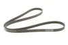 <strong>Пас поліклиновий Hyundai Accent 1.5CRDi/Kia Ceed 1 CONTITECH 5PK1640 (фото 5)</strong>
