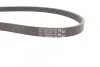 <strong>Ремінь поліклиновий Renault Logan 1,4i 1,6i 04>09 ContiTech CONTITECH 5PK1750 (фото 2)</strong>