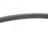 <strong>Пас поліклиновий MB A-class (W169)/B-class (W245) CONTITECH 5PK1765 (фото 2)</strong>