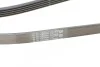 <strong>Пас поліклиновий Hyundai Accent/Getz/i30/Kia Rio/C CONTITECH 5PK1800 (фото 3)</strong>