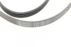 <strong>Пас поліклиновий Hyundai Accent/Getz/i30/Kia Rio/C CONTITECH 5PK1800 (фото 4)</strong>
