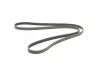 <strong>Пас поліклиновий Hyundai Accent/Getz/i30/Kia Rio/C CONTITECH 5PK1800 (фото 5)</strong>