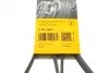 <strong>Пас поліклиновий Hyundai Accent/Getz/i30/Kia Rio/C CONTITECH 5PK1800 (фото 6)</strong>
