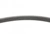 <strong>Пас поліклиновий Hyundai Tucson 15-/i20/i30/i40/Ac CONTITECH 5PK1815 (фото 2)</strong>