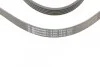 <strong>Пас поліклиновий Hyundai Tucson 15-/i20/i30/i40/Ac CONTITECH 5PK1815 (фото 4)</strong>