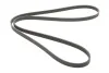 <strong>Пас поліклиновий Hyundai Tucson 15-/i20/i30/i40/Ac CONTITECH 5PK1815 (фото 5)</strong>