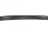 <strong>Пас поліклиновий BMW 3 (E36) 318tds 95-00/Chevrole CONTITECH 5PK1885 (фото 2)</strong>