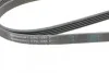 <strong>Пас поліклиновий BMW 3 (E36) 318tds 95-00/Chevrole CONTITECH 5PK1885 (фото 3)</strong>