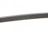 <strong>Пас поліклиновий BMW 3 (E46)/5 (E39)/7 (E38)/X5 (E) CONTITECH 5PK2060 (фото 2)</strong>