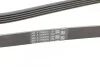 <strong>Пас поліклиновий BMW 3 (E46)/5 (E39)/7 (E38)/X5 (E) CONTITECH 5PK2060 (фото 3)</strong>