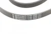 <strong>Пас поліклиновий BMW 3 (E46)/5 (E39)/7 (E38)/X5 (E) CONTITECH 5PK2060 (фото 4)</strong>