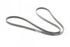 <strong>Пас поліклиновий BMW 3 (E46)/5 (E39)/7 (E38)/X5 (E) CONTITECH 5PK2060 (фото 5)</strong>