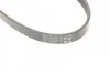<strong>Пас поліклиновий Ford Fiesta/Fusion 5PK690ELAST CONTITECH 5PK690 ELAST (фото 3)</strong>