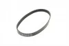 <strong>Пас поліклиновий Ford Fiesta/Fusion 5PK690ELAST CONTITECH 5PK690 ELAST (фото 5)</strong>