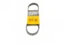 <strong>Ремінь генератора поліклиновий CONTITECH 5PK716ELAST (фото 1)</strong>
