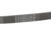 <strong>Ремінь генератора поліклиновий CONTITECH 5PK805 (фото 5)</strong>