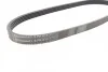 <strong>Ремень генератора 5PK 813 BMW 3/5/7 CONTITECH 5PK813 (фото 2)</strong>