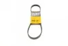 <strong>Полікліновий ремінь (Вир-во ContiTech) CONTITECH 5PK830 (фото 1)</strong>