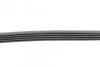 <strong>Ремень генератора BMW 3/5/7 CONTITECH 5PK865 (фото 2)</strong>