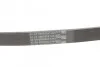 <strong>Ремень генератора BMW 3/5/7 CONTITECH 5PK865 (фото 3)</strong>