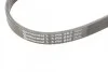 <strong>Ремень генератора BMW 3/5/7 CONTITECH 5PK865 (фото 4)</strong>
