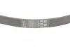 <strong>Пас поліклиновий Ford Focus 1.6i CONTITECH 5PK868ELAST (фото 3)</strong>