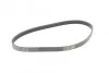 <strong>Пас поліклиновий Ford Focus 1.6i CONTITECH 5PK868ELAST (фото 5)</strong>