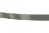 <strong>Пас поліклиновий Renault Kangoo 1.2i 97-/Subaru Im CONTITECH 5PK875 (фото 3)</strong>