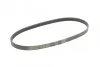 <strong>Пас поліклиновий Renault Kangoo 1.2i 97-/Subaru Im CONTITECH 5PK875 (фото 5)</strong>