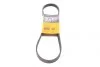 <strong>Ремінь поліклиновий Subaru Forester 2,0i 2,5i 02>08, 2,5i 09>, Legasy 2,5i 03>05 ContiTech CONTITECH 5PK880 (фото 1)</strong>
