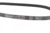 <strong>Ремінь поліклиновий Subaru Forester 2,0i 2,5i 02>08, 2,5i 09>, Legasy 2,5i 03>05 ContiTech CONTITECH 5PK880 (фото 2)</strong>